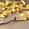 Минифото #3 товара Светодиодная гирлянда ARD-STRING-CLASSIC-20000-BLACK-200LED-MILK-SYNC RGB (230V, 13W) (Ardecoled, IP65)