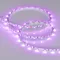 Минифото #3 товара Светодиодная лента MINI-60-24V RGB 5mm (3535, 5m, LUX) (Arlight, 6 Вт/м, IP20)