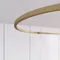 Минифото #2 товара Трек ART-APRIORI-TRACK-ARC-A-1722-600 (GD, 1/2) (Arlight, IP20 Металл, 3 года)