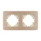 Минифото #2 товара Рамка алюминиевая FRM-AKIRY-AL-2-GD (Arlight, -)